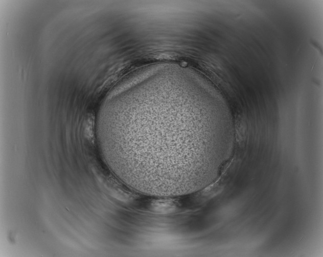 X0000102230175200808081355