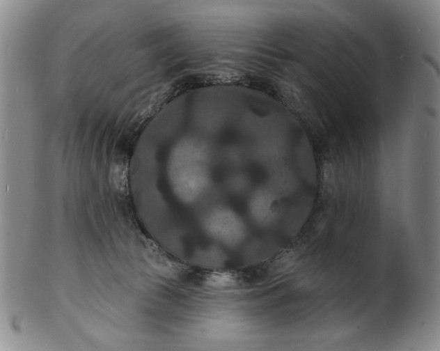 X0000102230177200808081356