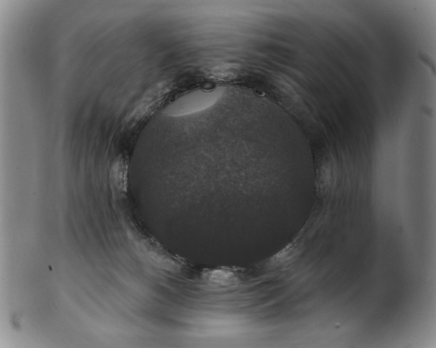 X0000102230180200808081356