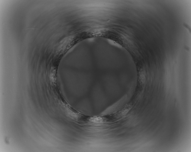 X0000102230181200808081356