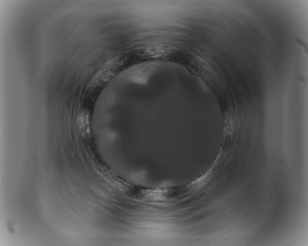 X0000102230182200808081356