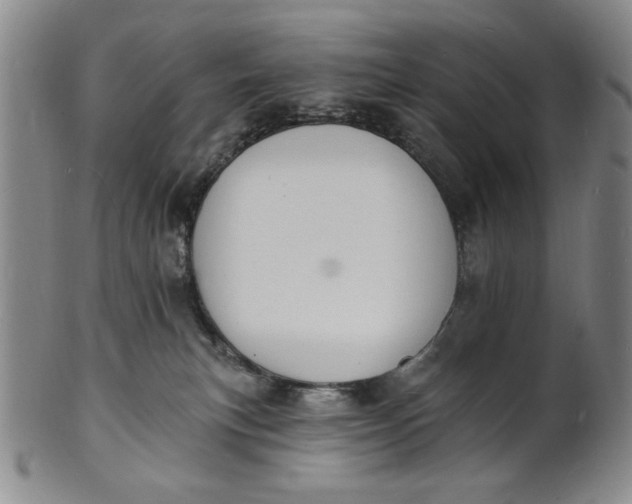 X0000102230183200808081356