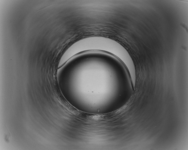 X0000102230184200808081356