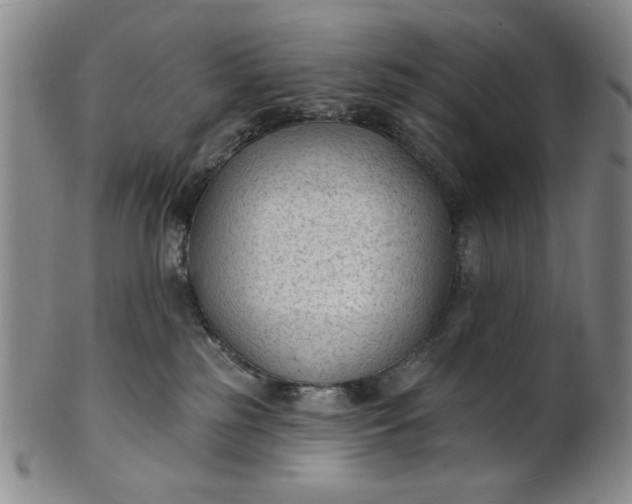 X0000102230185200808081356