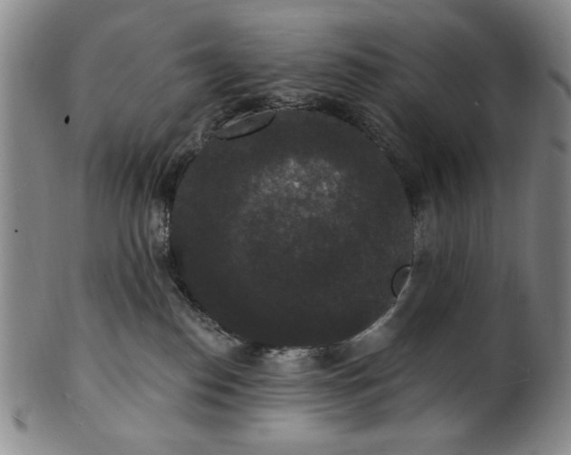 X0000102230186200808081356