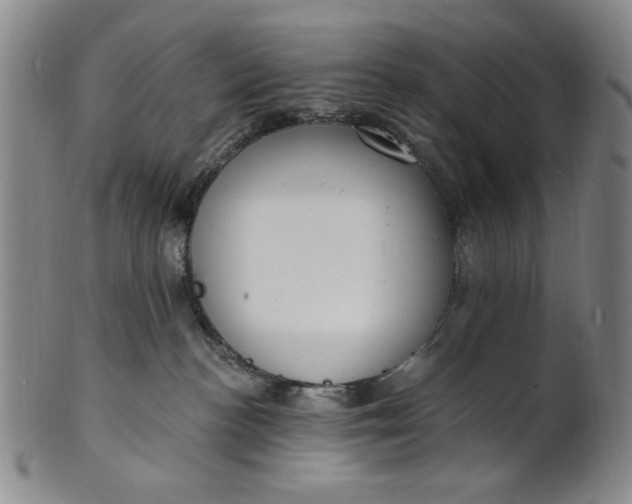 X0000102230188200808081356