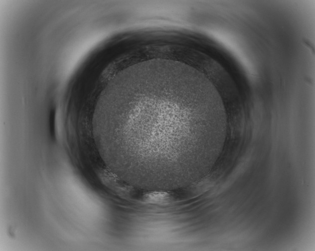 X0000102230189200808081356