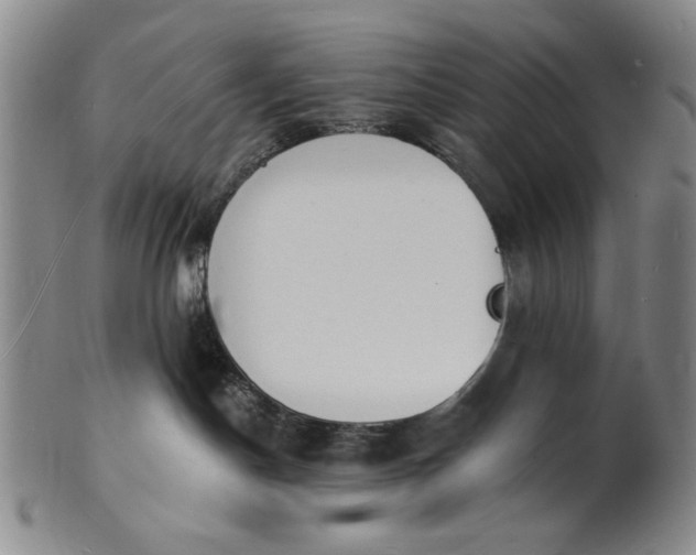 X0000102230190200808081356