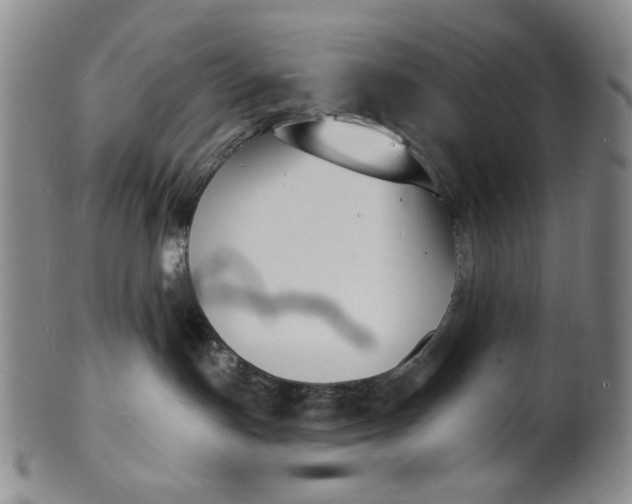 X0000102230191200808081356