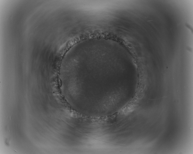 X0000102230192200808081356