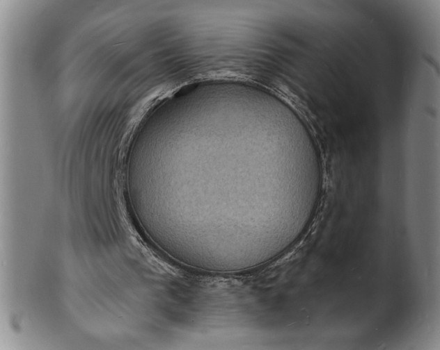 X0000102230193200808081355