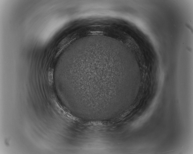 X0000102230194200808081355