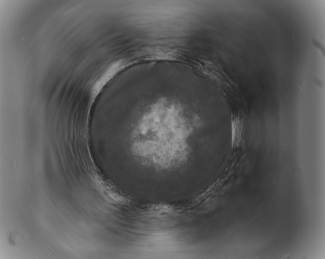 X0000102230195200808081355