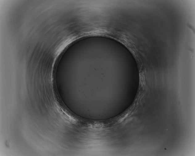 X0000102230196200808081355