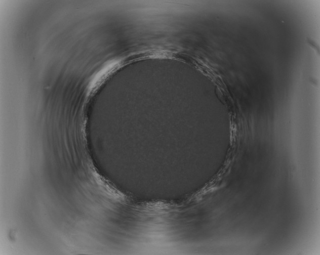 X0000102230197200808081355