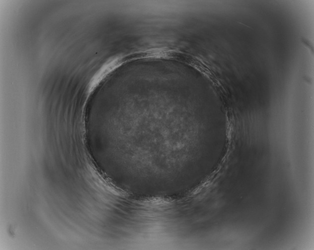 X0000102230198200808081355