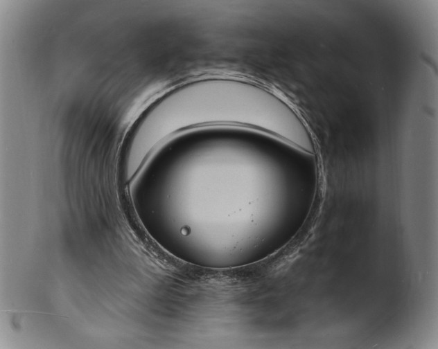 X0000102230199200808081355