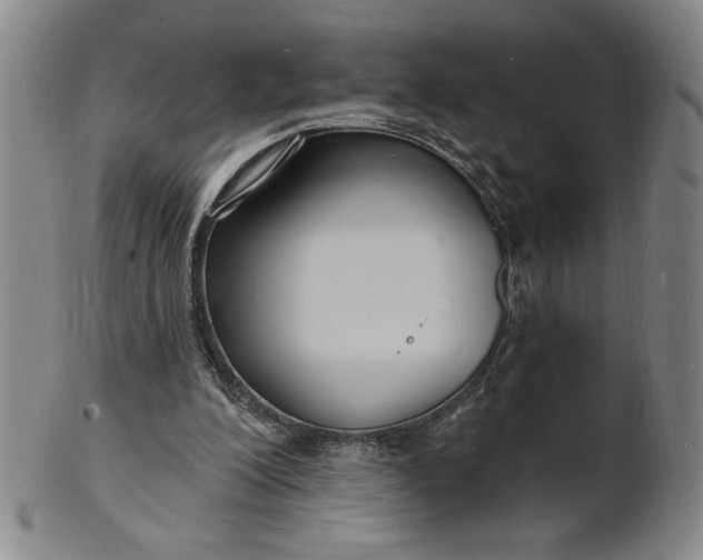 X0000102230200200808081355