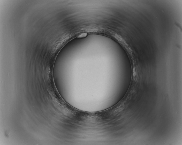 X0000102230201200808081355