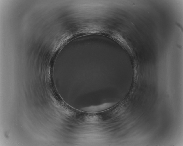 X0000102230202200808081355