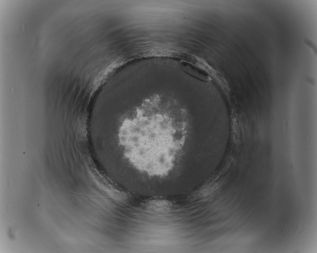 X0000102230203200808081355