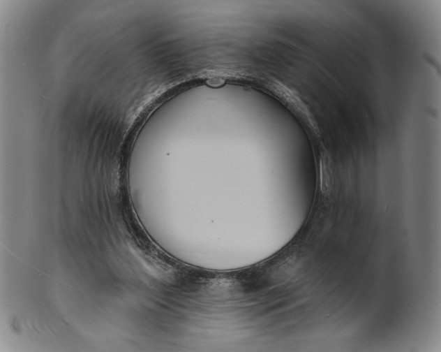 X0000102230204200808081355