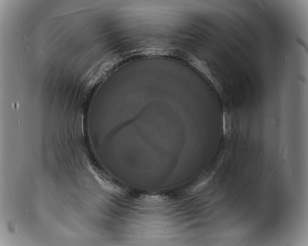 X0000102230205200808081355
