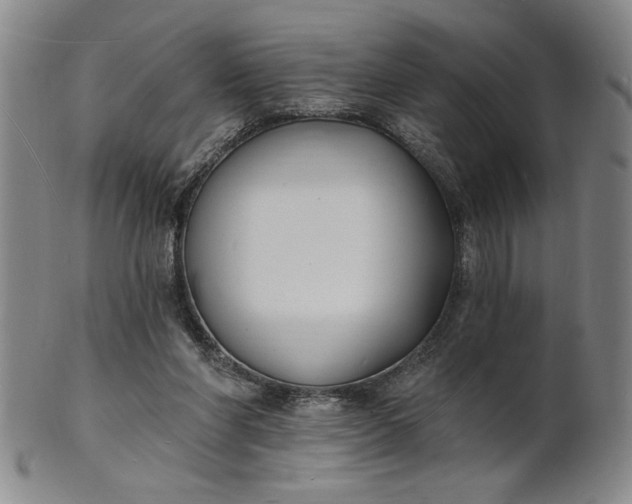 X0000102230206200808081355