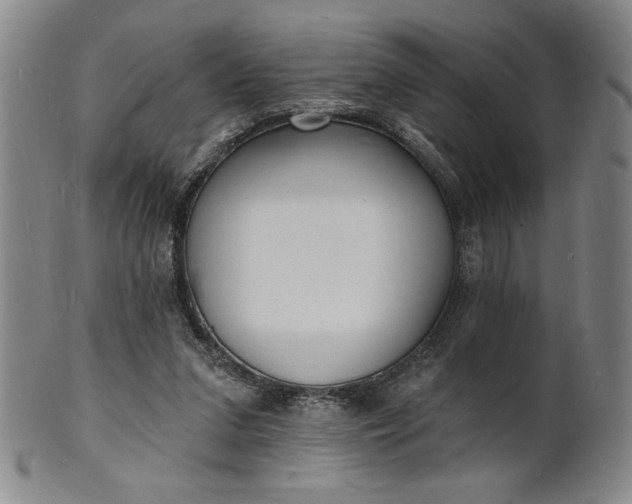 X0000102230207200808081355