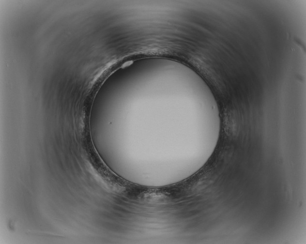 X0000102230208200808081355