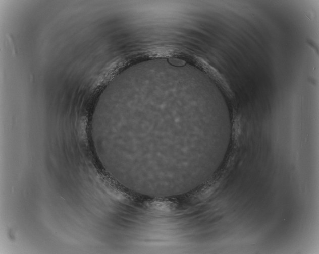 X0000102230209200808081355