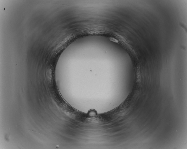 X0000102230211200808081355