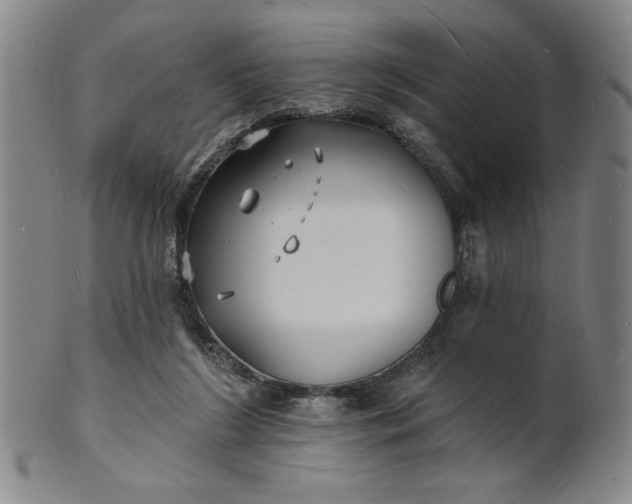 X0000102230212200808081355