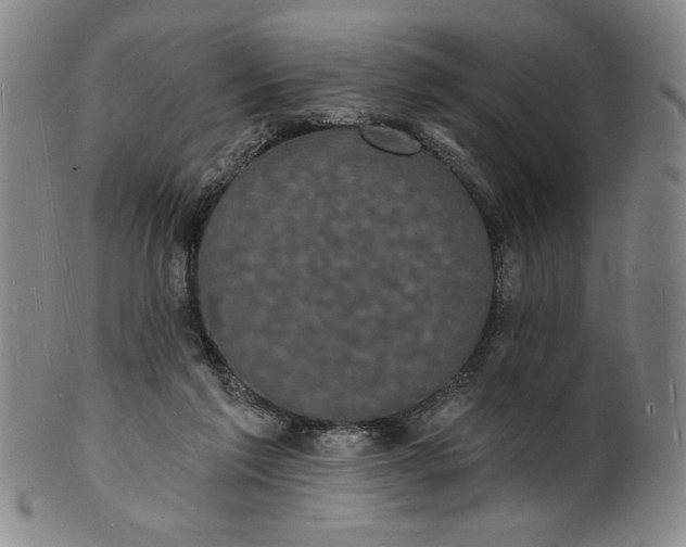 X0000102230213200808081355