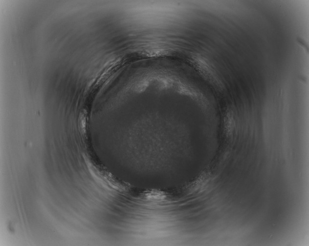X0000102230214200808081355