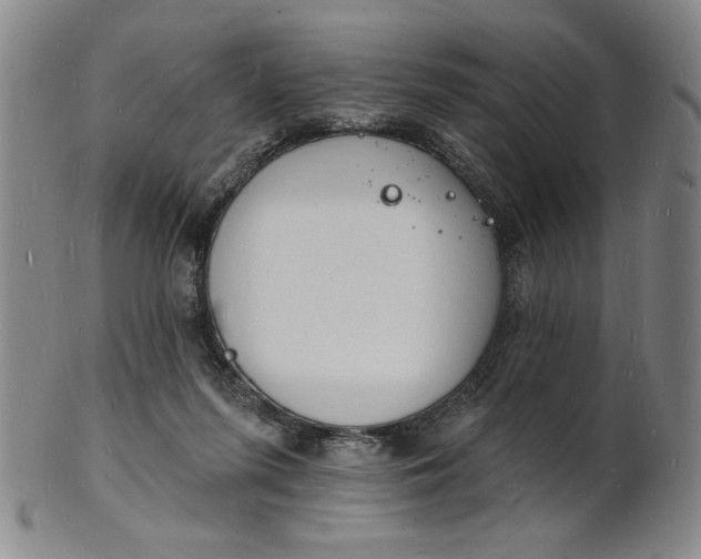 X0000102230215200808081355