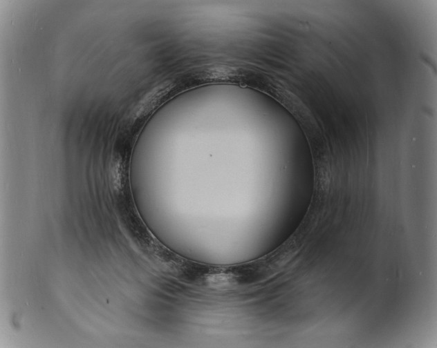 X0000102230216200808081355