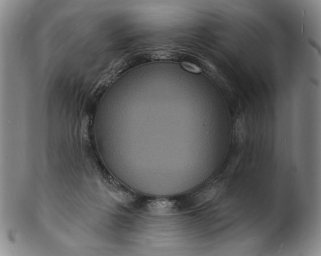 X0000102230217200808081355