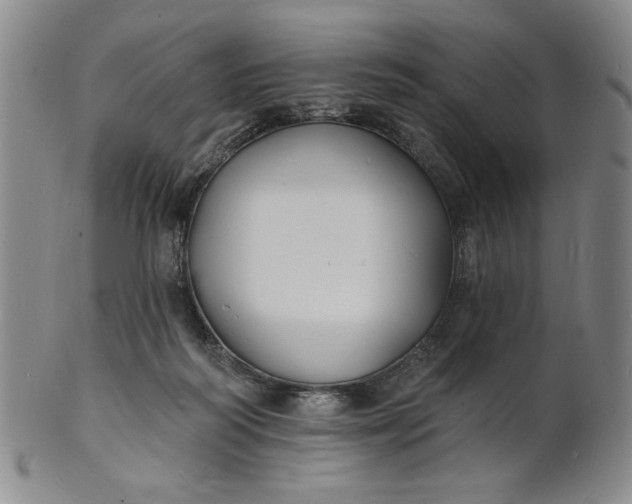 X0000102230218200808081355
