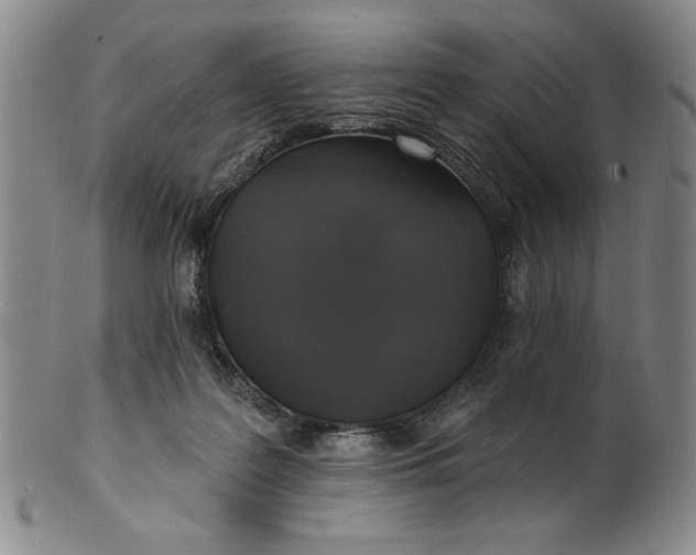 X0000102230219200808081355