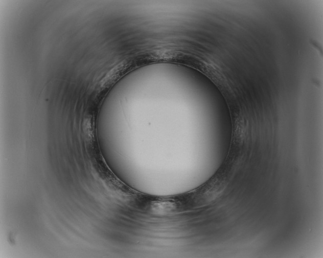 X0000102230220200808081355