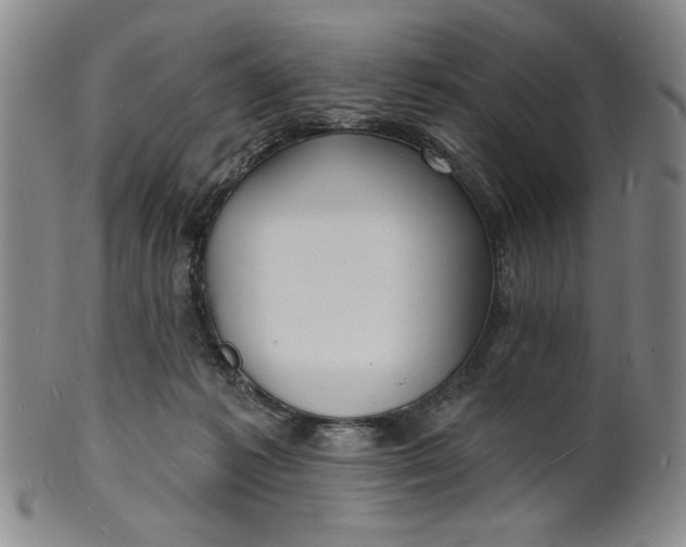 X0000102230221200808081355