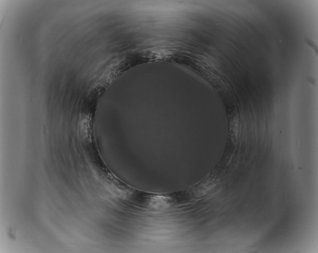X0000102230222200808081355