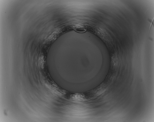 X0000102230223200808081354