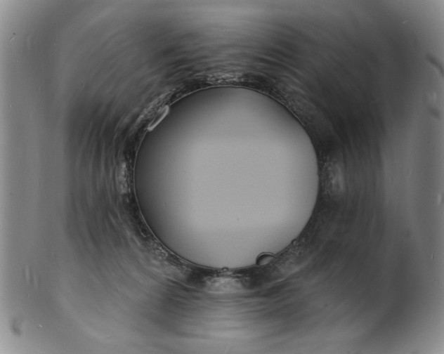 X0000102230224200808081354