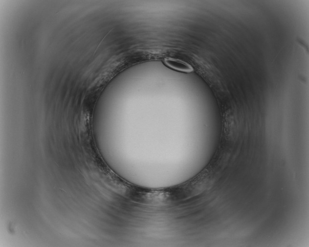 X0000102230225200808081354