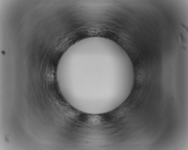 X0000102230226200808081354