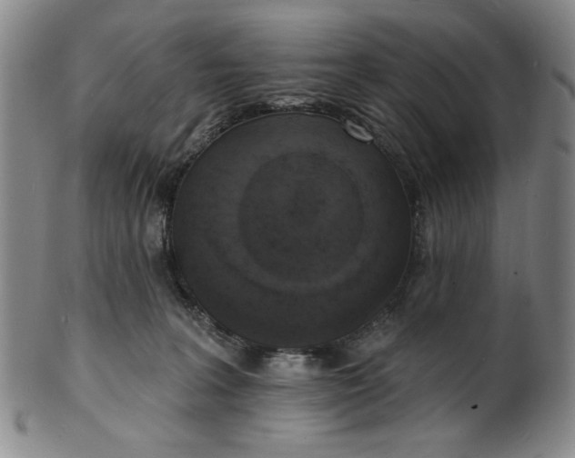 X0000102230227200808081354