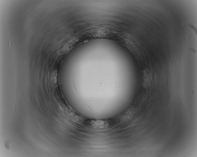 X0000102230230200808081354