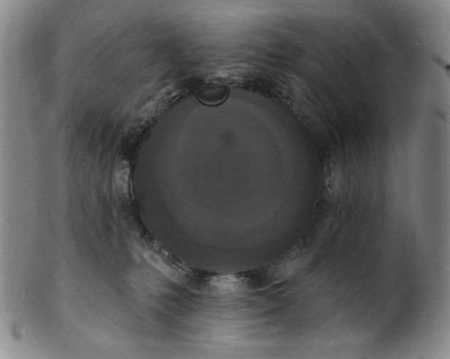 X0000102230231200808081354